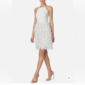 Aidan by Aidan Mattox Crepe Halter Fringe Dress. Size 2. Color ivory.